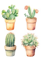 Watercolor illustration of four potted cacti varieties showcasing vibrant green hues and detailed textures, perfect for home decor and nature themes.