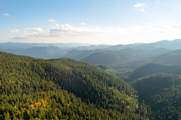 Beautiful mountains range against blue sky on sunny. Green coniferous forest and grass meadows top view aerial view. Nature. Relax. Travel