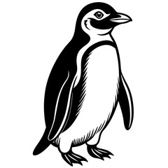 penguin illustration