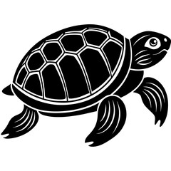 turtle illustration