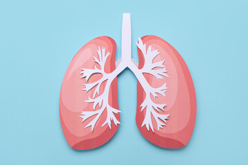 Paper lungs on blue background