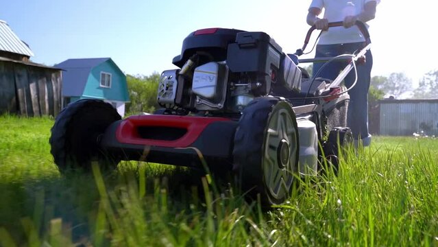 Woman with a lawnmower mows the lawn at the dacha