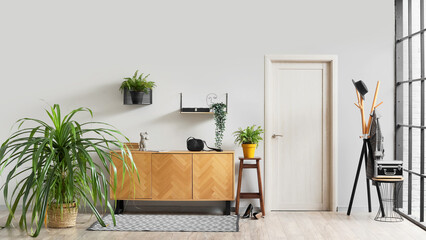 Houseplants, chest of drawers and coat hanger near white wall in interior of hallway