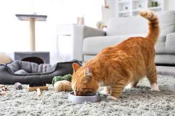 Cute red cat eating from bowl at home