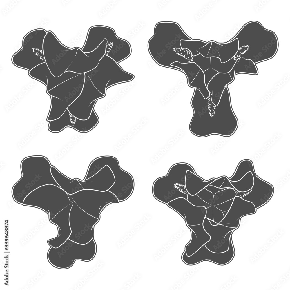 Poster set of black and white illustrations with iris flowers. isolated vector objects on white background.