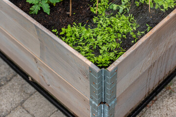 Corner of a pallet collar with green plants.
