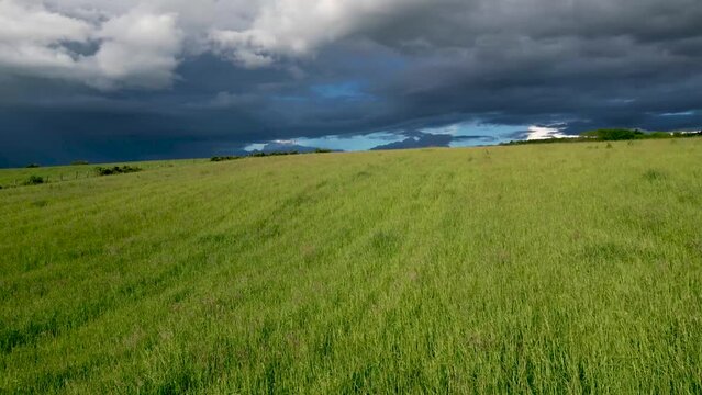 vol en raz motte au dessus d'un champs vert cultiv&eacute; sous un ciel orageux