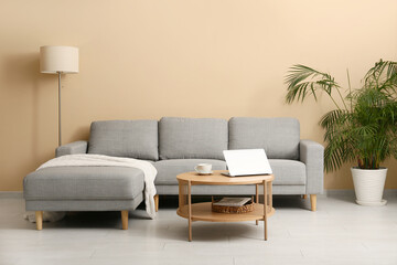Cozy sofa, houseplant and coffee table near beige wall in living room