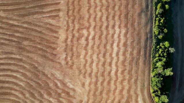 dessins et lignes trac&eacute;s par une machine agricole dans un champ cultiv&eacute;