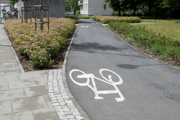 Bicycle path with markings in a summer city. "Bicycle" sign on the sidewalk.