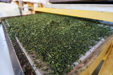 Special equipment for rolling, sorting, cleaning and drying tea leaves.
