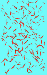 bunch of ripe red curly chilies on a blue background