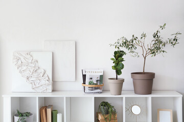 Interior of light room with shelving unit, houseplants and pictures