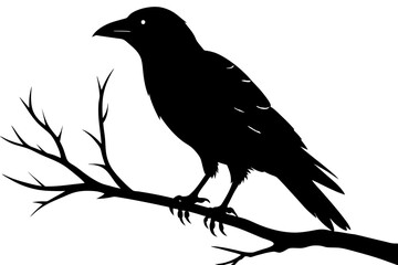 crow bird silhouette vector illustration