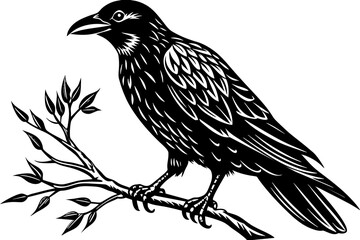 crow bird silhouette vector illustration