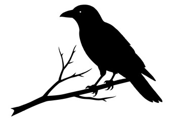 crow bird silhouette vector illustration