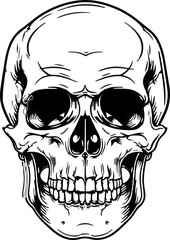 Skull clipart design illustration