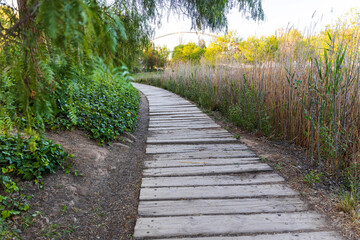 Valencia, Spain. Park in the former riverbed of the Turia River. Early spring. Path in the park