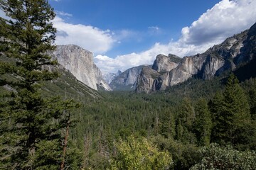 Fototapeta premium Yosemite Valley Daytime