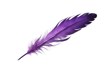 Purple feather isolated on transparent background cutout © FrameFinesse