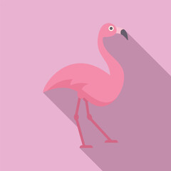 Pink flamingo is taking a stroll with its long shadow trailing behind