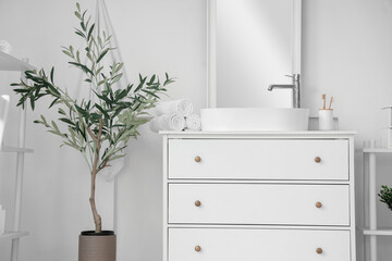 Interior of stylish modern bathroom with commode and decorative olive tree