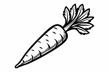 Carrot vector art illustration