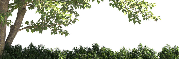 Various types of tree branch plants bushes shrub and and small plants isolated	
