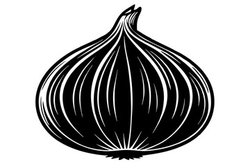 onion vector illustration