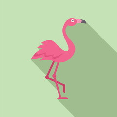 Pink flamingo standing on one leg with a long shadow