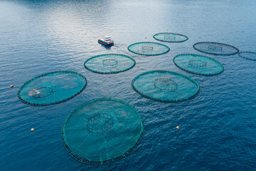 Offshore aquaculture in floating fish farming cages of fish farm in Aegean sea. Aerial shot © Leonid