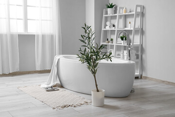 Interior of stylish bathroom with bathtub, shelving unit and olive tree