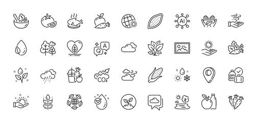 Corn, Sunny weather and Startup line icons pack. AI, Question and Answer, Map pin icons. Water drop, Apple, Gluten free web icon. Windy weather, Salad, Co2 pictogram. Vector