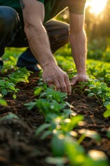 Fototapeta premium A man bending down to pick up a plant in the dirt. Generative AI.