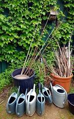 Arrosoirs de jardin. Poubelle de jardin pour les déchets biodégradables. © HELENE