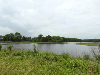 The beautiful wetland scenery, on a cloudy summer day, at the Bombay Hook National Wildlife Refuge, Kent County, Delaware. 