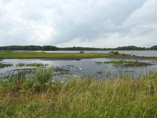 The ever changing beauty of the wetlands, as storm clouds fill the sky. Bombay Hook National Wildlife Refuge, Kent County, Delaware.