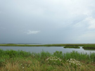 The ever changing beauty of the wetlands, as storm clouds fill the sky. Bombay Hook National Wildlife Refuge, Kent County, Delaware.