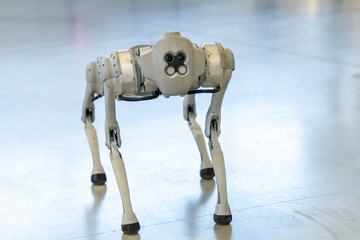 Gray military robot dog at a demonstration