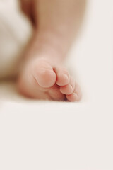 details of newborn baby with white background
