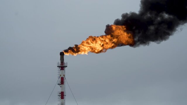 Torch burns. Associated gas burn on Oil field. Gas burner. Yellow flame in blue sky. Fire from pipe.