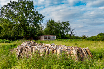 Brennholz auf einer Wiese © focus finder