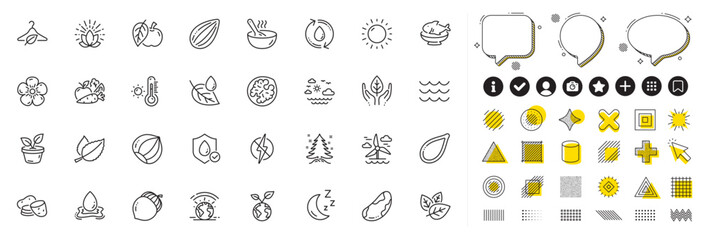Set of Brazil nut, Apple and Almond nut line icons for web app. Design elements, Social media icons. Seafood, Greenhouse, Potato icons. Slow fashion, Leaf dew, Lotus signs. Vector