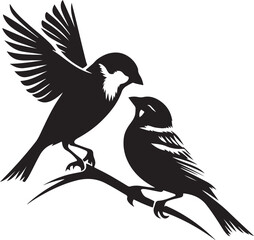 Beautiful bird couple sparrow vector.