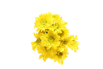 白バックの菊の花束