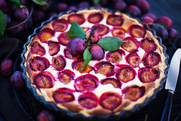 Fresh homemade plum tart or cake on dark background