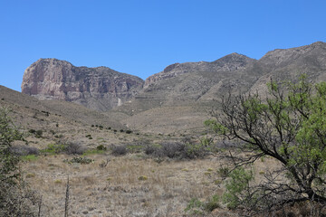 Guadalupe Mountains National Park, Texas
