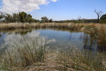 Frijole Spring at Guadalupe Mountains National Park, Texas