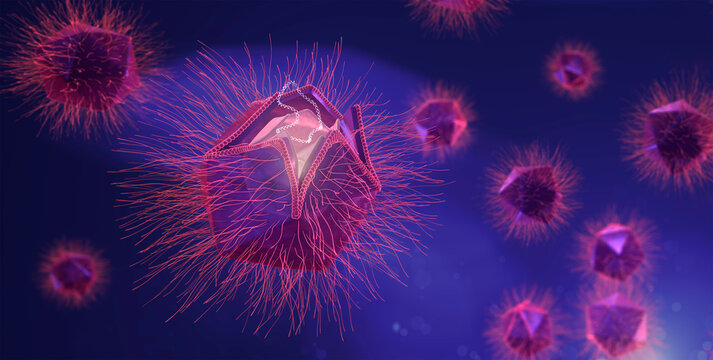 Mimivirus particles or Catovirus naegleriensis (CatV) , Naegleriavirus (NiV). They are giant viruses with starfish-shaped edges. Membrane DNA release occurs at the stargate. Conceptual illustration
