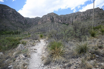 Hiking trail at Guadalupe Mountains National Park, Texas
